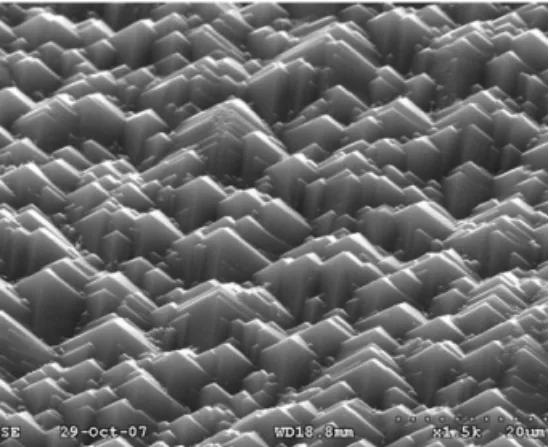 TOPCon Solar Cell Manufacturing Process: A Complete Step-by-Step Guide Texturing additive effect
