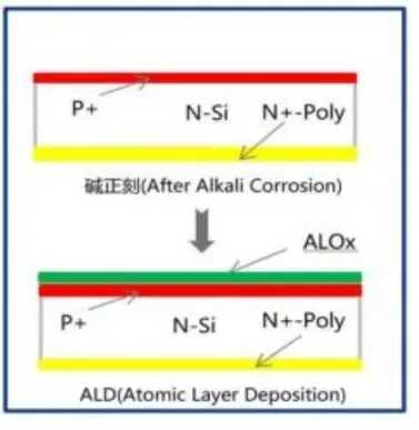 TOPCon Solar Cell Manufacturing Process: A Complete Step-by-Step Guide ALD AlOx passivation