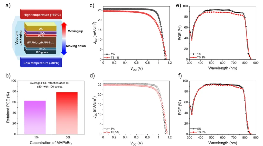 Martin Green's Team: Stop Falling for the 'Perovskite in Space' Hype — 20% Loss After Just 100 Cycles