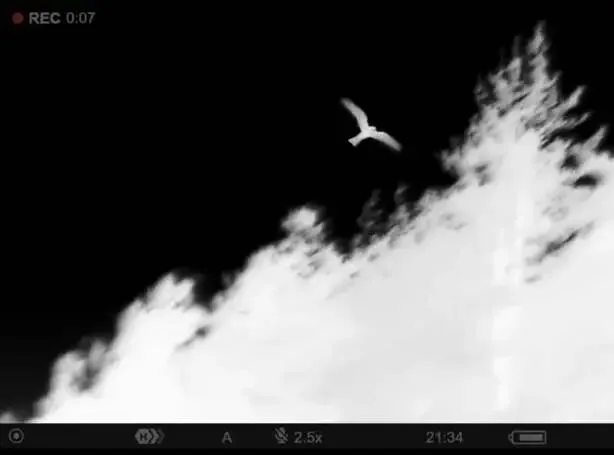 Thermal Imaging for Solar Panels: How SESPNet Catches Every Hotspot in Infrared
