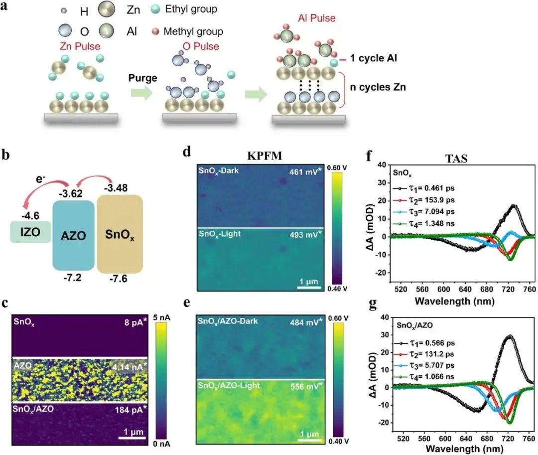 33.25% Efficiency, 96% MPPT Retention After 1000 Hours: All-ALD SnOx/AZO Bilayer Suppresses Interface Reactions in Perovskite/Silicon Tandems