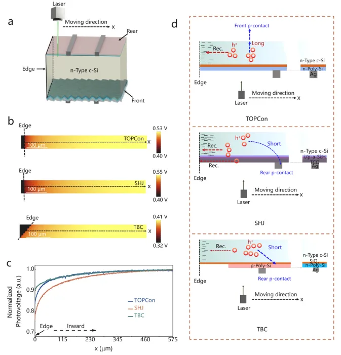 How to Cut Multi-Piece Solar Cells Better? The Counterintuitive Truth About Edge Loss in n-type TOPCon, SHJ and BC Cells
