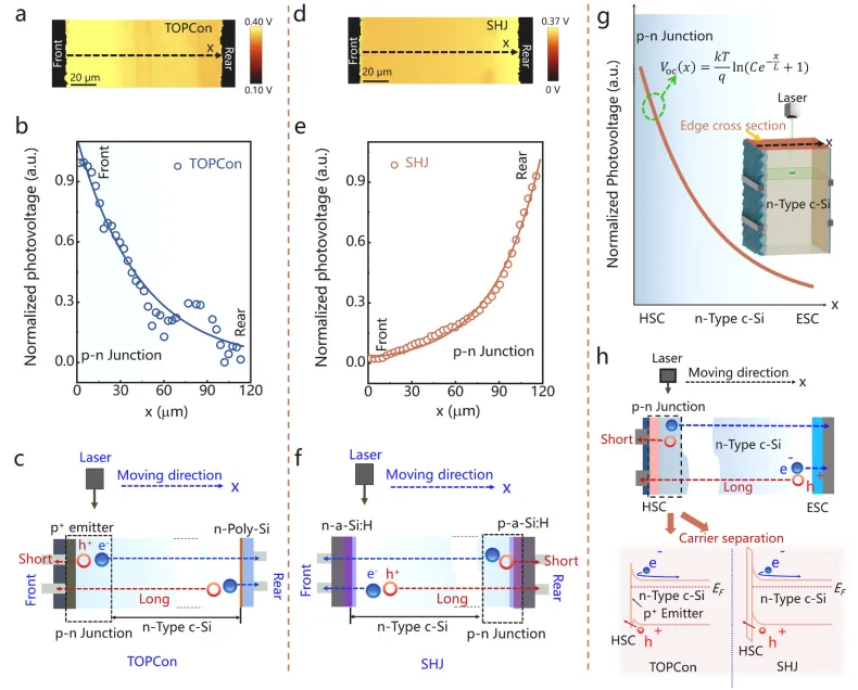 How to Cut Multi-Piece Solar Cells Better? The Counterintuitive Truth About Edge Loss in n-type TOPCon, SHJ and BC Cells