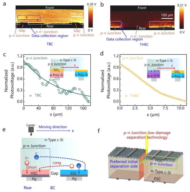 How to Cut Multi-Piece Solar Cells Better? The Counterintuitive Truth About Edge Loss in n-type TOPCon, SHJ and BC Cells
