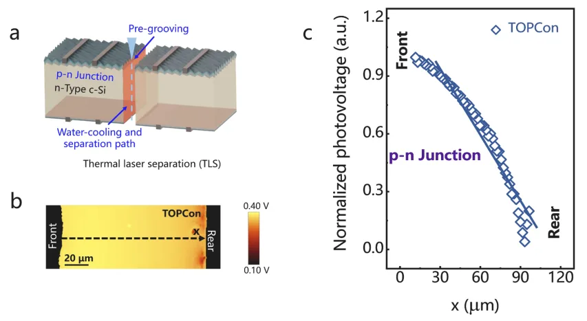 How to Cut Multi-Piece Solar Cells Better? The Counterintuitive Truth About Edge Loss in n-type TOPCon, SHJ and BC Cells