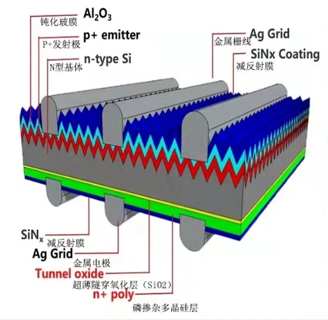 Why BC Solar Cells Are More Prone to Bowing and Warpage