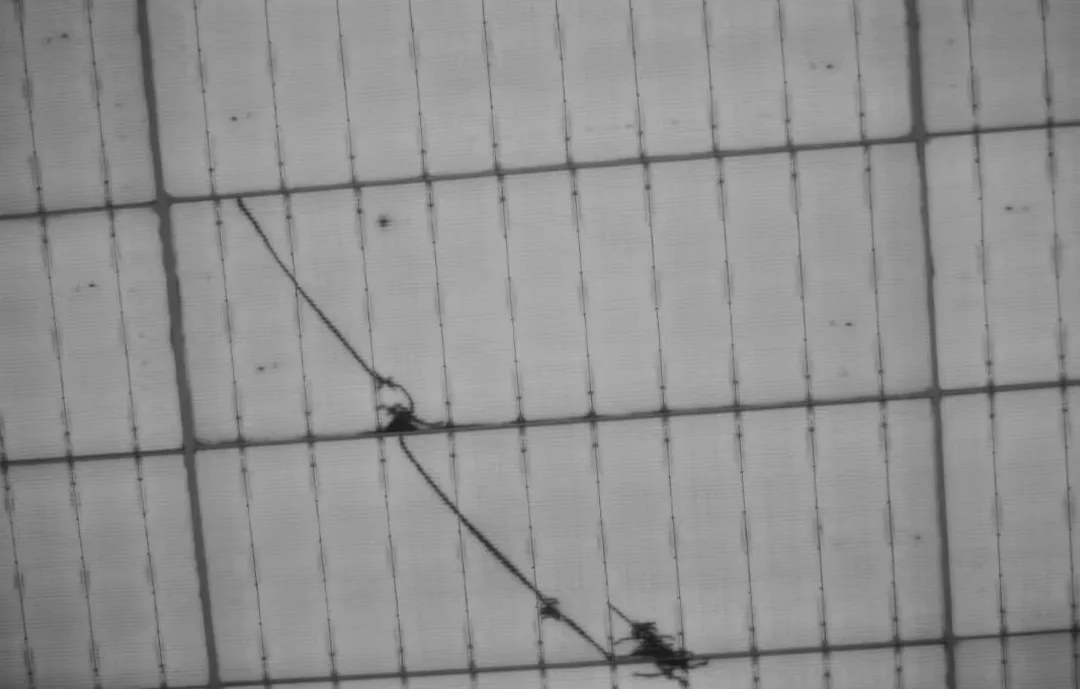 Why Does Electrifying a Solar Panel Reveal Hidden Cell Cracks?